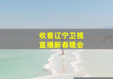 收看辽宁卫视直播新春晚会