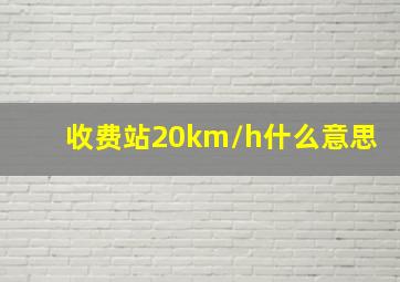 收费站20km/h什么意思