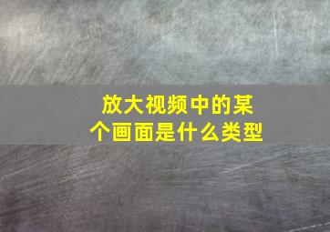 放大视频中的某个画面是什么类型