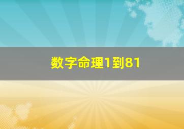 数字命理1到81