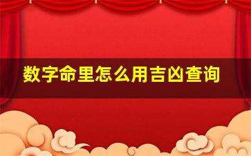 数字命里怎么用吉凶查询