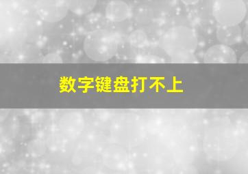 数字键盘打不上