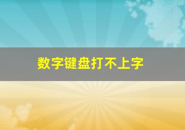 数字键盘打不上字