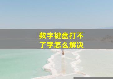 数字键盘打不了字怎么解决