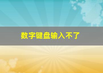 数字键盘输入不了