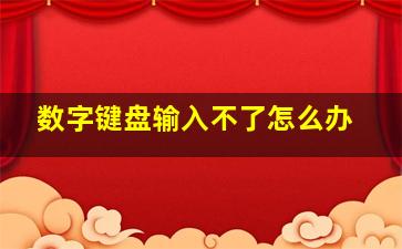 数字键盘输入不了怎么办