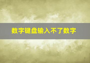 数字键盘输入不了数字