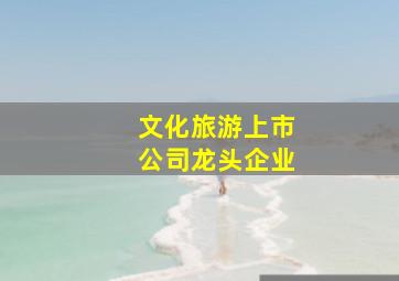 文化旅游上市公司龙头企业