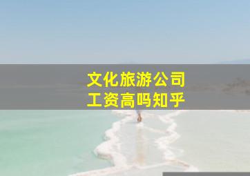 文化旅游公司工资高吗知乎