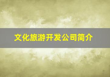 文化旅游开发公司简介