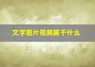 文字图片视频属于什么