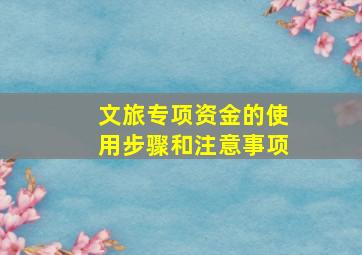 文旅专项资金的使用步骤和注意事项