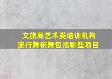 文旅局艺术类培训机构流行舞街舞包括哪些项目