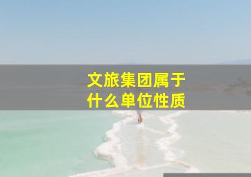 文旅集团属于什么单位性质