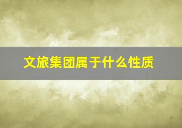 文旅集团属于什么性质