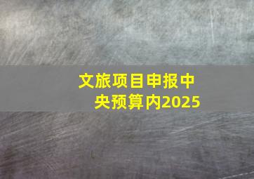 文旅项目申报中央预算内2025