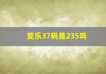 斐乐37码是235吗