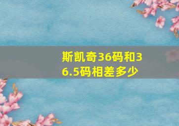 斯凯奇36码和36.5码相差多少