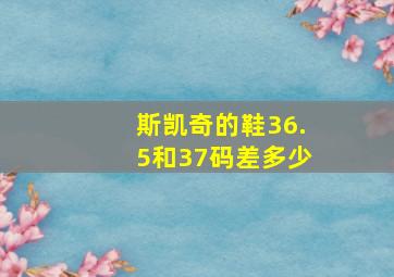 斯凯奇的鞋36.5和37码差多少