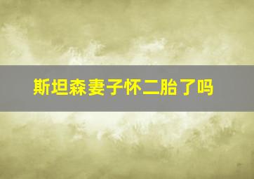 斯坦森妻子怀二胎了吗