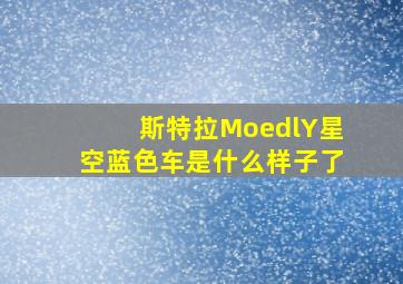 斯特拉MoedlY星空蓝色车是什么样子了