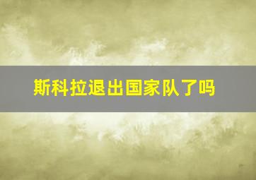 斯科拉退出国家队了吗