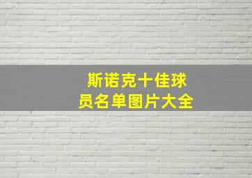 斯诺克十佳球员名单图片大全