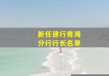 新任建行青海分行行长名单