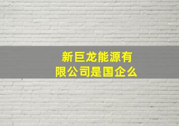 新巨龙能源有限公司是国企么