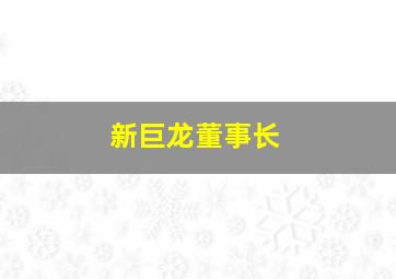 新巨龙董事长