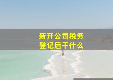 新开公司税务登记后干什么