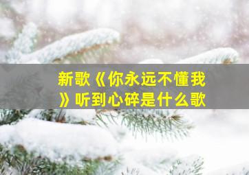 新歌《你永远不懂我》听到心碎是什么歌