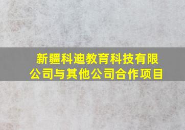 新疆科迪教育科技有限公司与其他公司合作项目