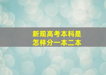 新规高考本科是怎样分一本二本