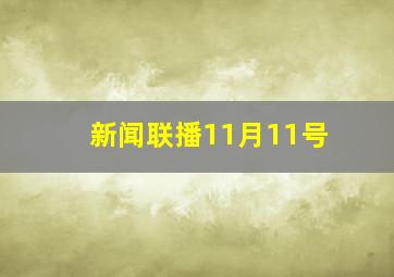 新闻联播11月11号