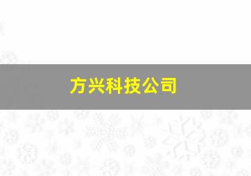 方兴科技公司