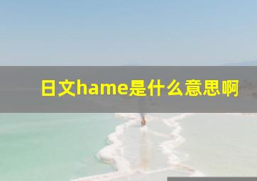 日文hame是什么意思啊