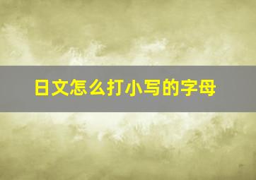 日文怎么打小写的字母