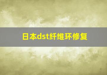 日本dst纤维环修复