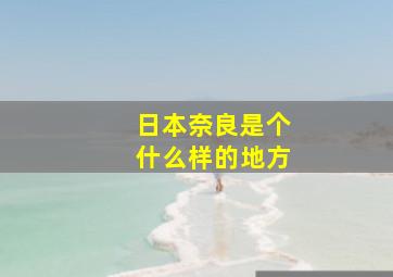 日本奈良是个什么样的地方