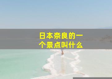 日本奈良的一个景点叫什么