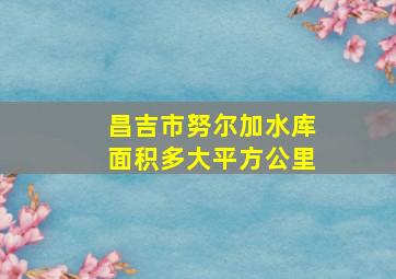 昌吉市努尔加水库面积多大平方公里