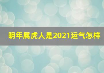 明年属虎人是2021运气怎样