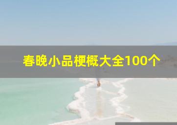 春晚小品梗概大全100个