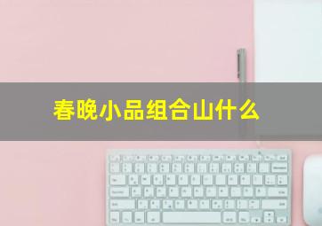 春晚小品组合山什么