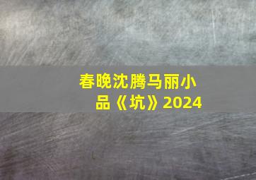 春晚沈腾马丽小品《坑》2024