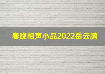 春晚相声小品2022岳云鹏