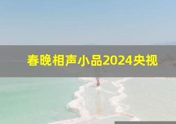 春晚相声小品2024央视