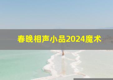 春晚相声小品2024魔术