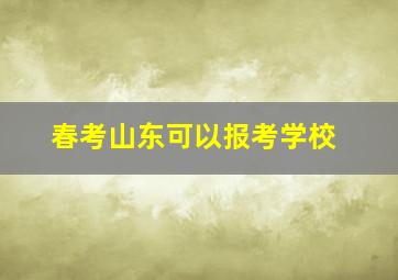 春考山东可以报考学校